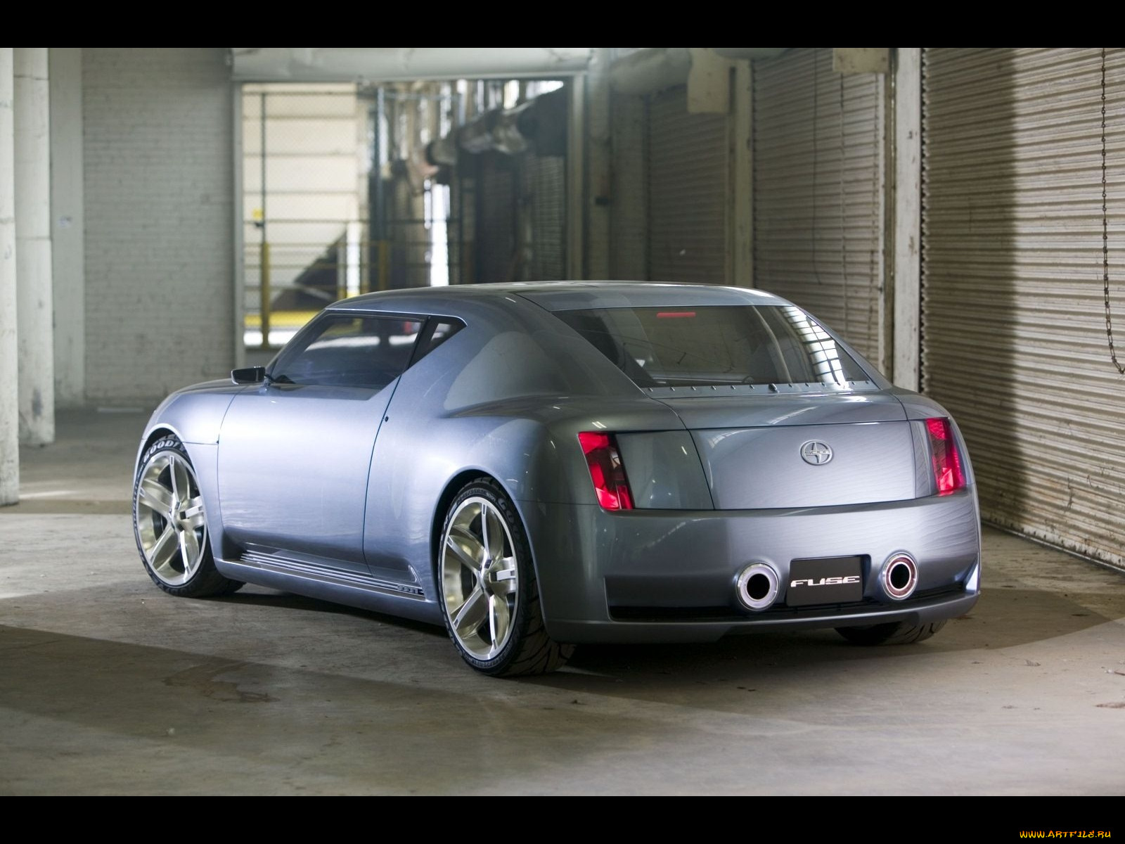 , scion